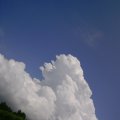 s_2012-07-07_11-45-16_PTDC0014